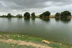 Jaisalmer: Overnachting onder de sterren met kamelensafari