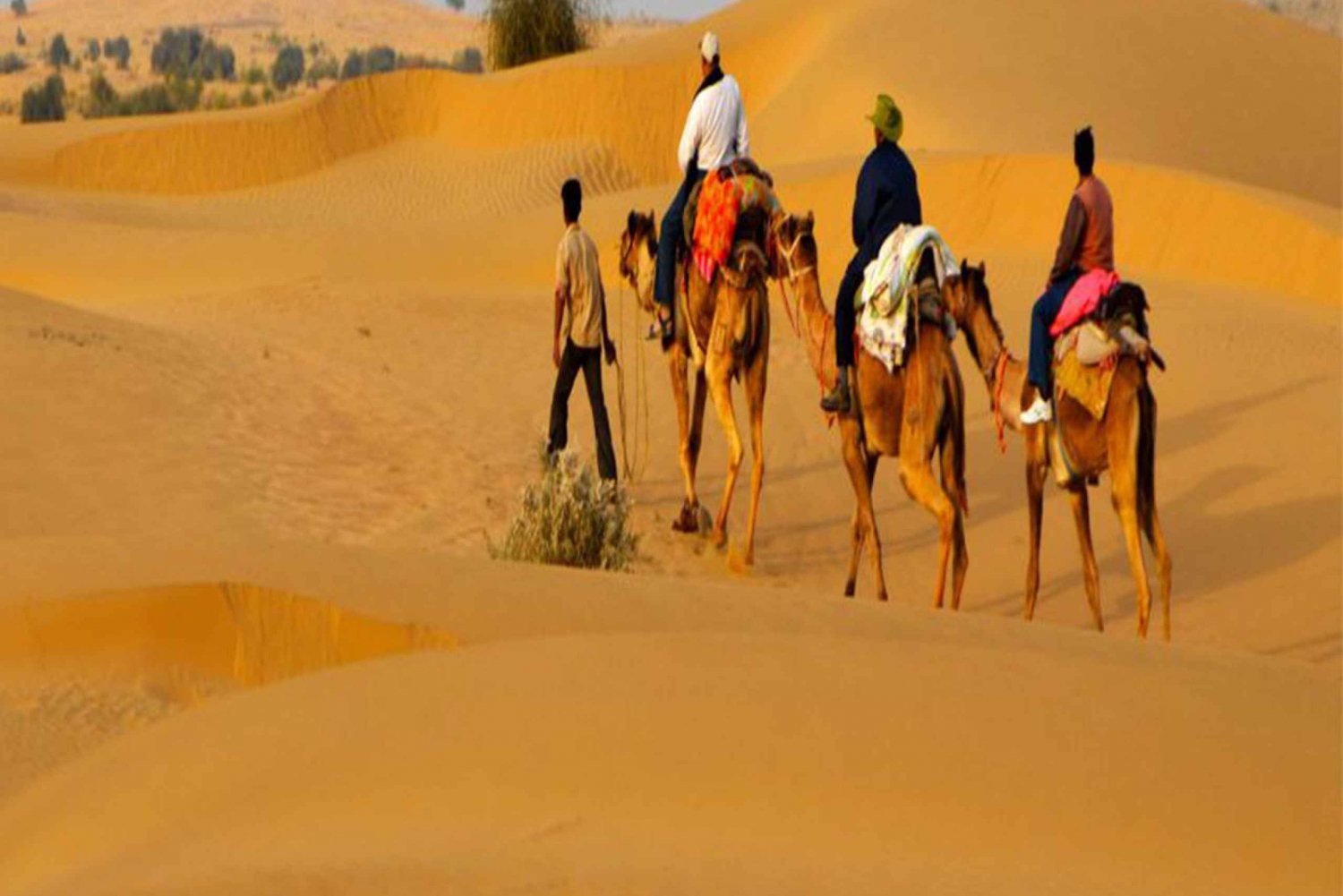 Jaisalmer Private City Tour with Camel Safari in Desert