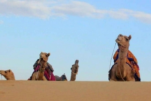 Quiet & Peaceful Desert Experience At Luxury Desert Camp