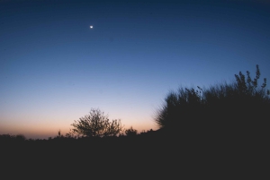 Jaisalmer: Romantisk natt med lyxig ökencamping