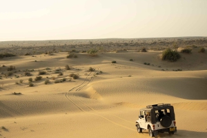 Jaisalmer: Romantisk natt med lyxig ökencamping