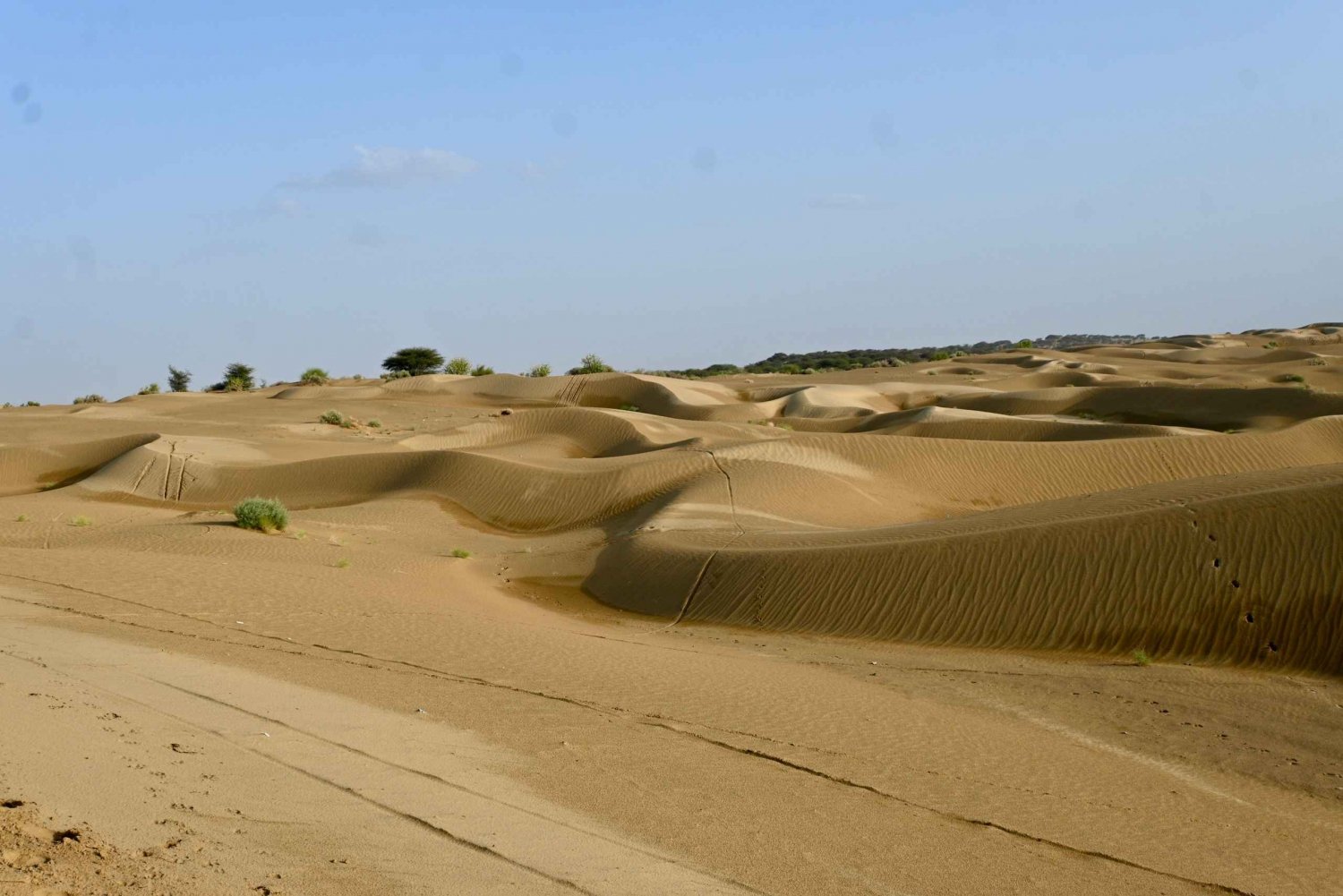 Jaisalmer: Sam Sand Dunes Sunset Tour med kameltur