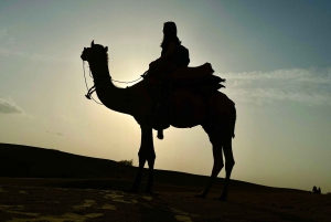 Jaisalmer: Excursión al atardecer por las Dunas de Arena de Sam con paseo en camello