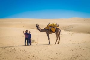 Jaisalmer: Walking Tour With Local Guide