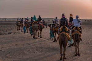 Bezienswaardigheden in Jaislamer met zonsondergang, kameel- en woestijnsafari