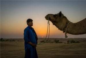 Bezienswaardigheden in Jaislamer met zonsondergang, kameel- en woestijnsafari