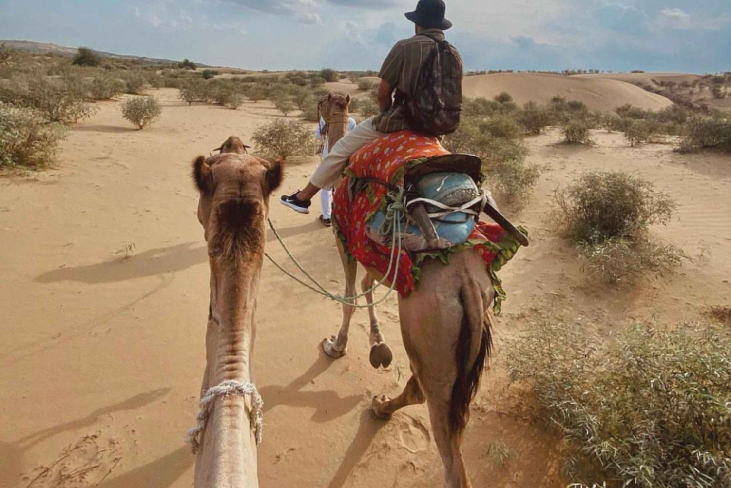 James Desert Experience