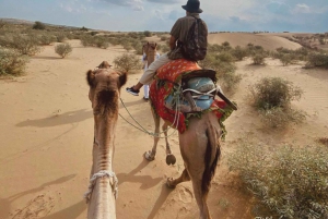 James Desert Experience