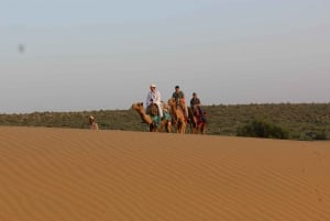 James Desert-ervaring