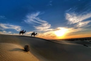 James Desert-ervaring