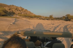 Jawai Leopard Safari 4x4 Gypsy Adventure with Guide