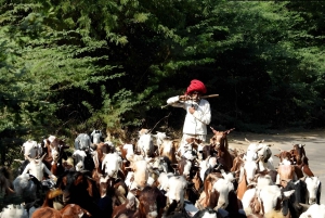 Jawai: Leopard Safari and Wildlife Experience