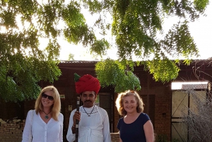 Jawai Leopard Gypsy Safari