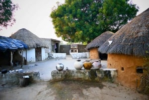 Jawai Leopard Gypsy Safari