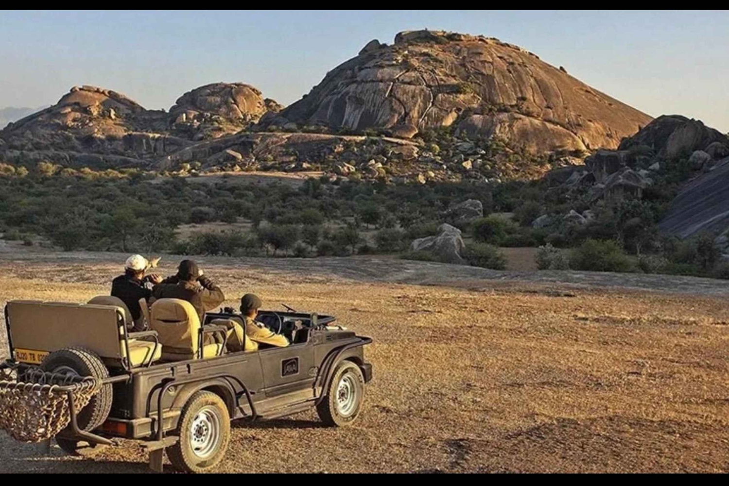 Jawai: senderos de leopardos, historias tribales y paseo nocturno