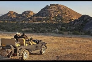 Jawai: senderos de leopardos, historias tribales y paseo nocturno