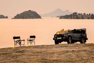 Jawai Leopard Wildlife Safari Private Tour In einem 4x4 Jeep