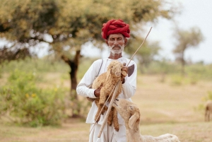 Jawai: Rundtur i byn och utsiktspunkten