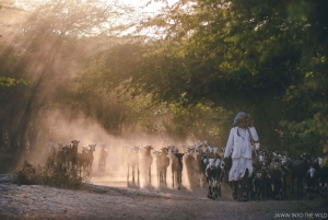 Jawai: Rundtur i byn och utsiktspunkten