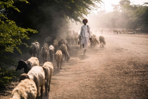 Jawai: Rundtur i byn och utsiktspunkten
