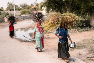 Jawai: Rundtur i byn och utsiktspunkten