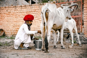 Jawai: Rundtur i byn och utsiktspunkten