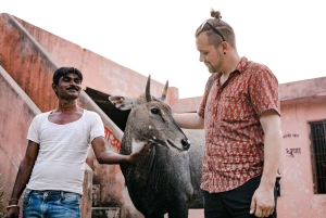 Jawai: Rundtur i byn och utsiktspunkten