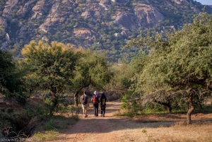 Jawai: Rundtur i byn och utsiktspunkten
