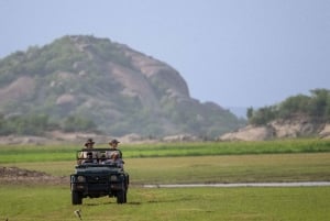 Jawai Wildstone Trail: Reise durch das Reich der Leoparden