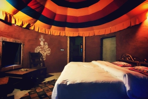 JDH : ビシュノイ村サファリと村での一泊滞在