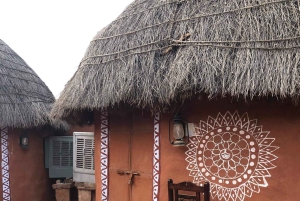 JDH : ビシュノイ村サファリと村での一泊滞在