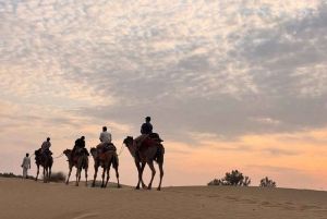 Giro in cammello e in jeep, serata musicale nel campo di lusso del deserto