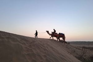 Giro in cammello e in jeep, serata musicale nel campo di lusso del deserto