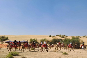 Giro in cammello e in jeep, serata musicale nel campo di lusso del deserto