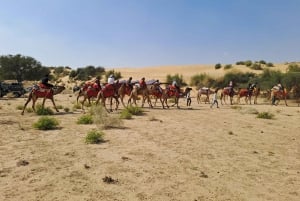 Giro in cammello e in jeep, serata musicale nel campo di lusso del deserto