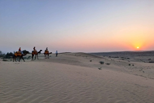 Giro in cammello e in jeep, serata musicale nel campo di lusso del deserto