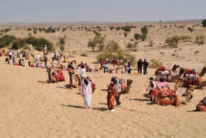 Giro in cammello e in jeep, serata musicale nel campo di lusso del deserto