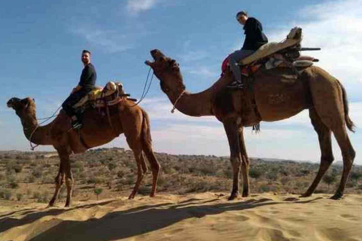 Jeep Safari ,Camel Ride,Folk Dance & Buffet Dinner Jaisalmer