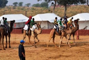 Jeep Safari ,Camel Ride,Folk Dance & Buffet Dinner Jaisalmer