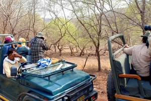 Jhalana Leopard Safari & Jaipur City Tour Explore Rajasthan