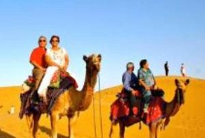 Jodhpur Camel & Jeep Safari with Sunset, Folk Dance, Dinner
