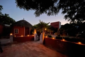 JDH: Bishnoi Village Safari med overnatting i landsbyen