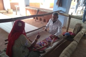 JDH: Bishnoi Village Safari med overnatting i landsbyen