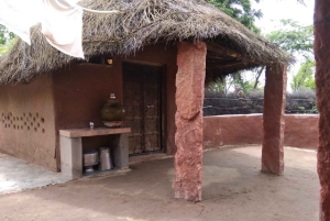 Jodhpur Bishnoi Village Safari Con Comida - Excursión de un Día