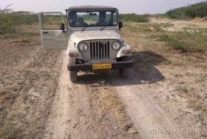 Safari al villaggio Bishnoi di Jodhpur con pasto - Tour di un giorno