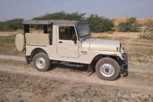 Safari al villaggio Bishnoi di Jodhpur con pasto - Tour di un giorno