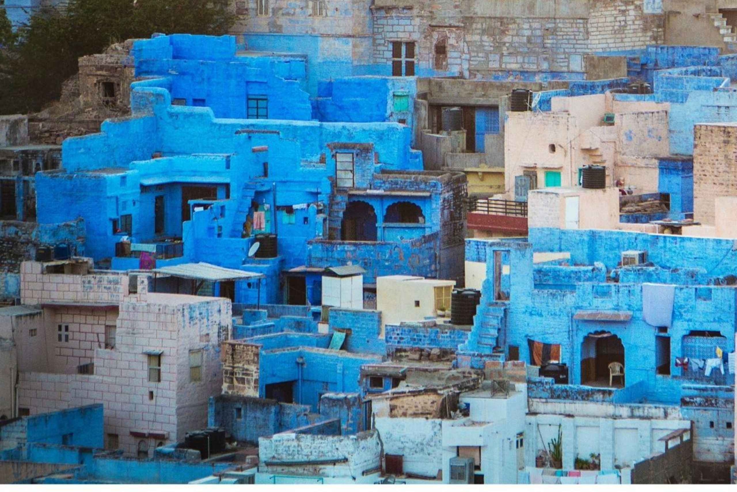 Jodhpur, la ville bleue (visite d'une journée) et atelier de musique folklorique