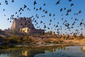 Jodhpur, la ville bleue (visite d'une journée) et atelier de musique folklorique