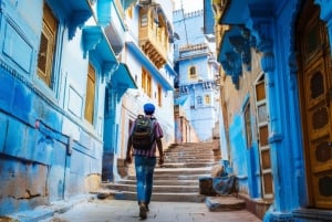 Jodhpur: Blue City Full-Day Tour with Guided Heritage Walk