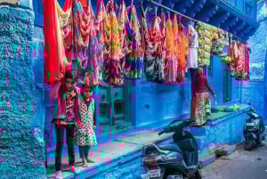 Jodhpur: Blue City Full-Day Tour with Guided Heritage Walk
